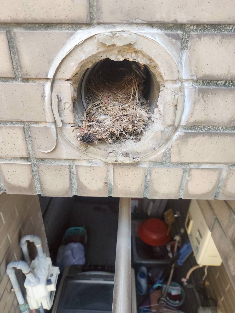 桃園外牆防水,桃園屋頂防水,桃園外牆蜘蛛人,桃園外牆磁磚修繕,桃園外牆設備安裝